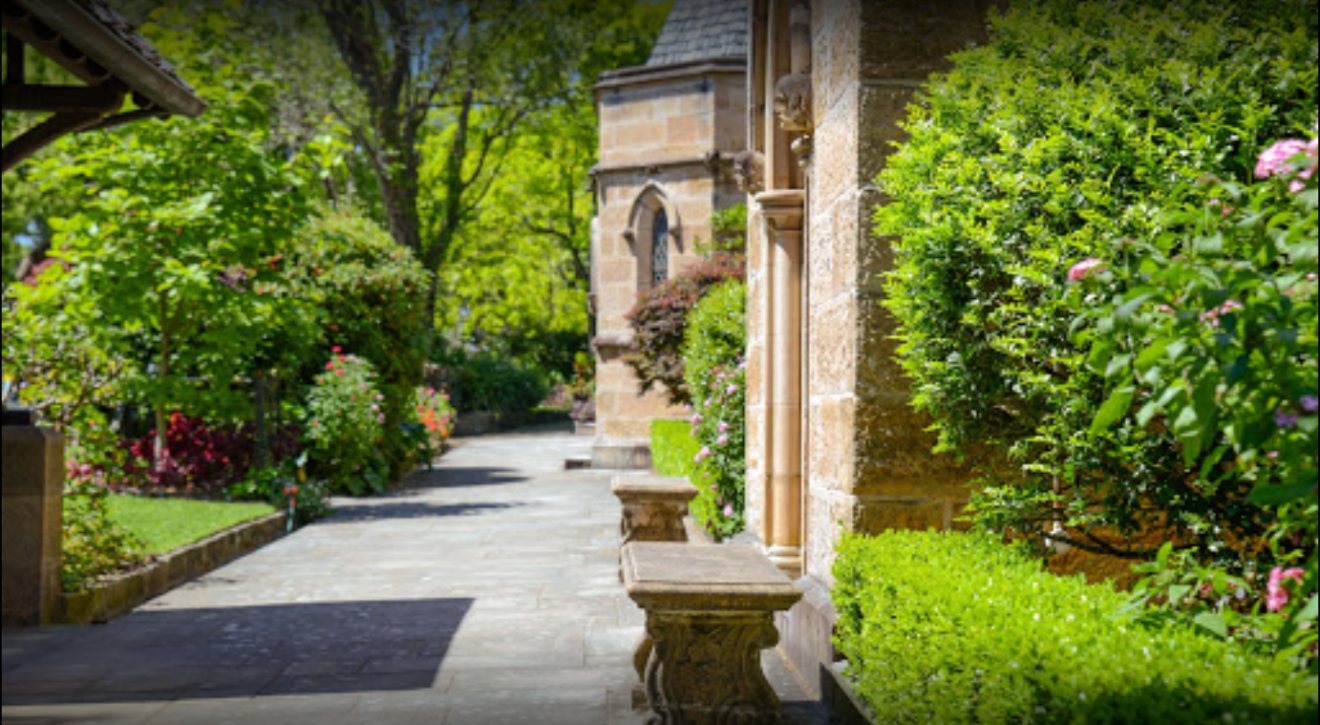 Discover The StarStudded History Of St