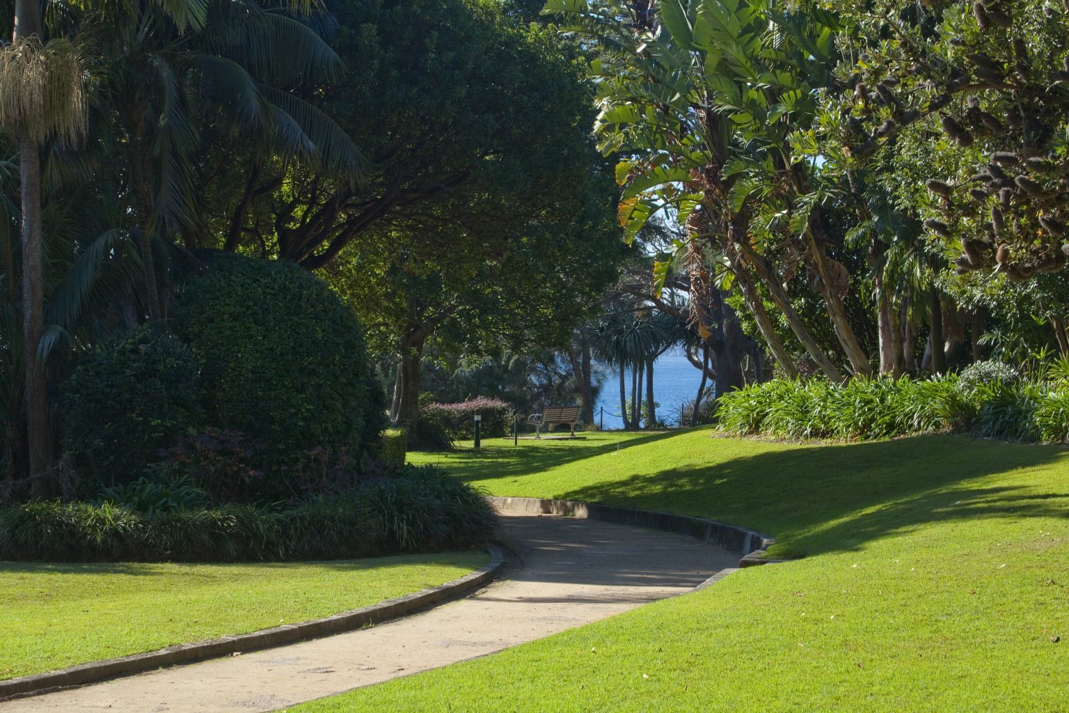 Discover The Charm of Darling Point’s McKell Park