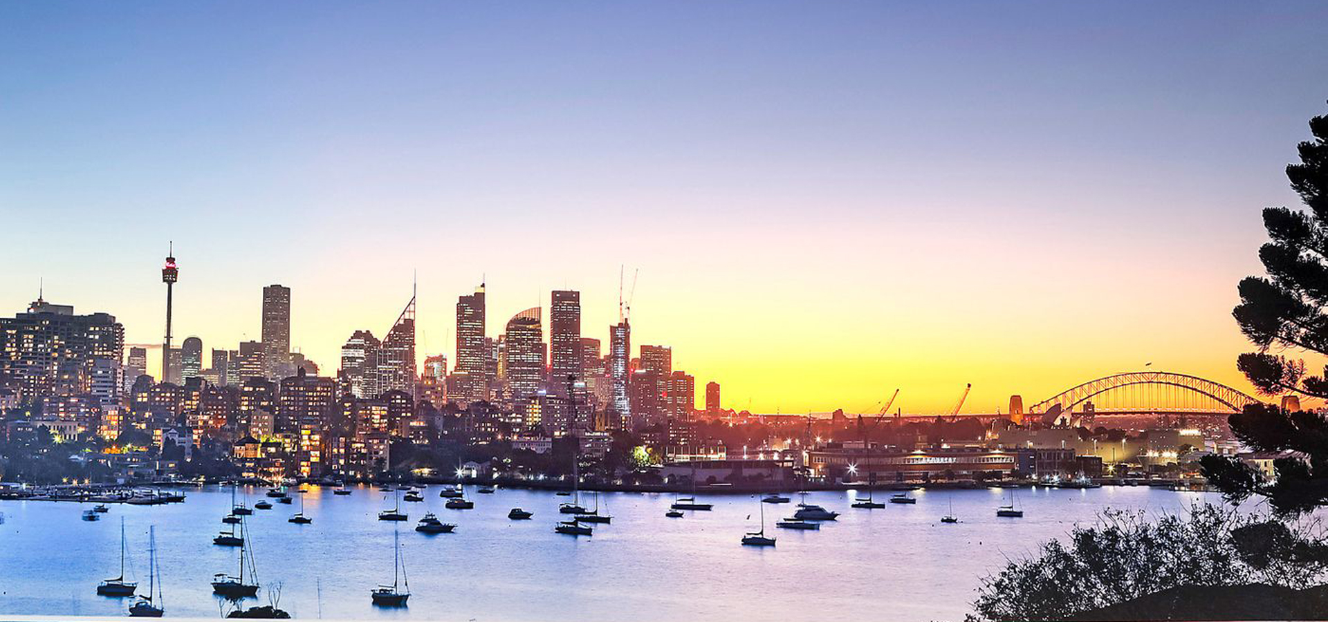 Discover How Sydney’s Darling Point Got Its Name